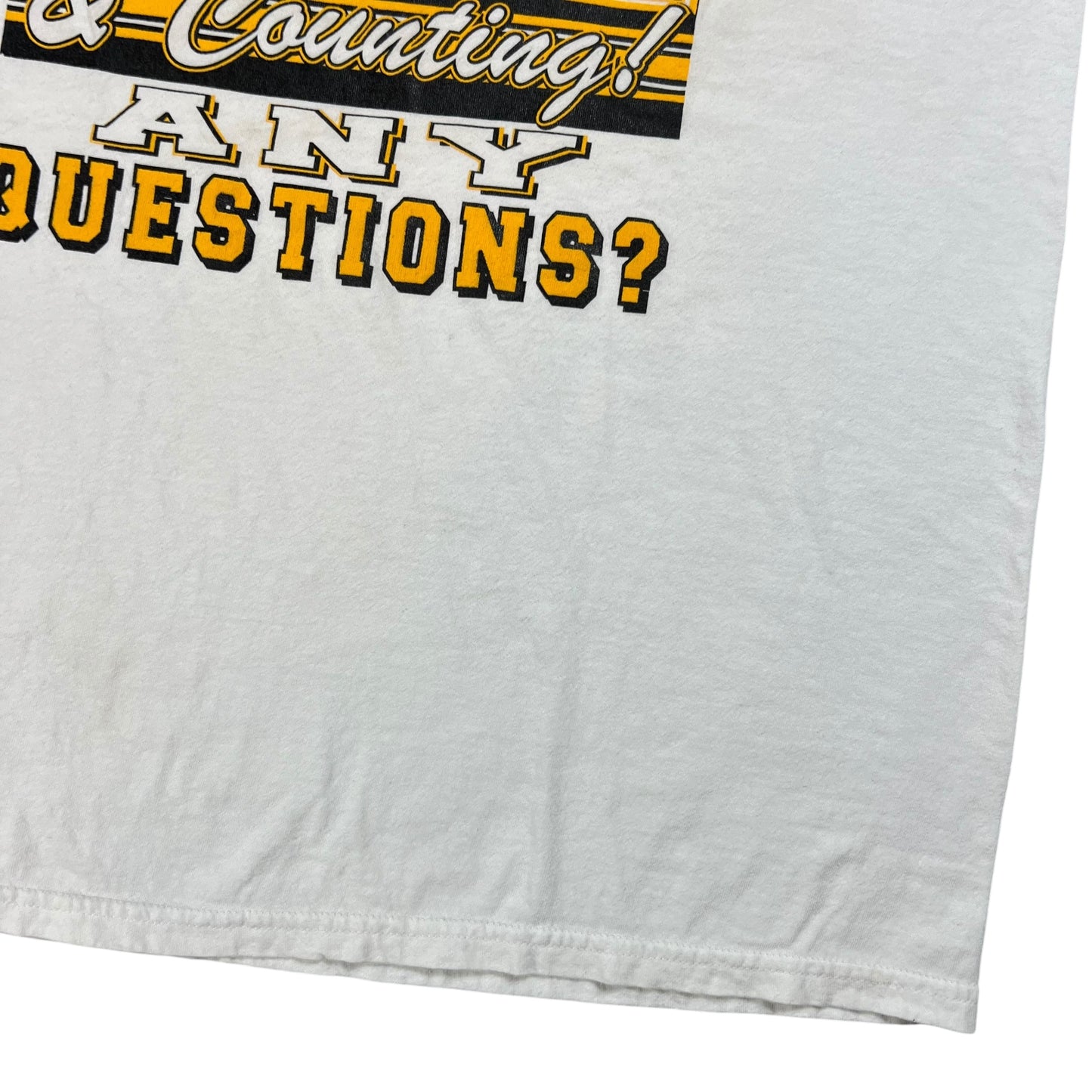 Vintage 2004 Pittsburgh Steelers 15-1 NFL tee (XL)