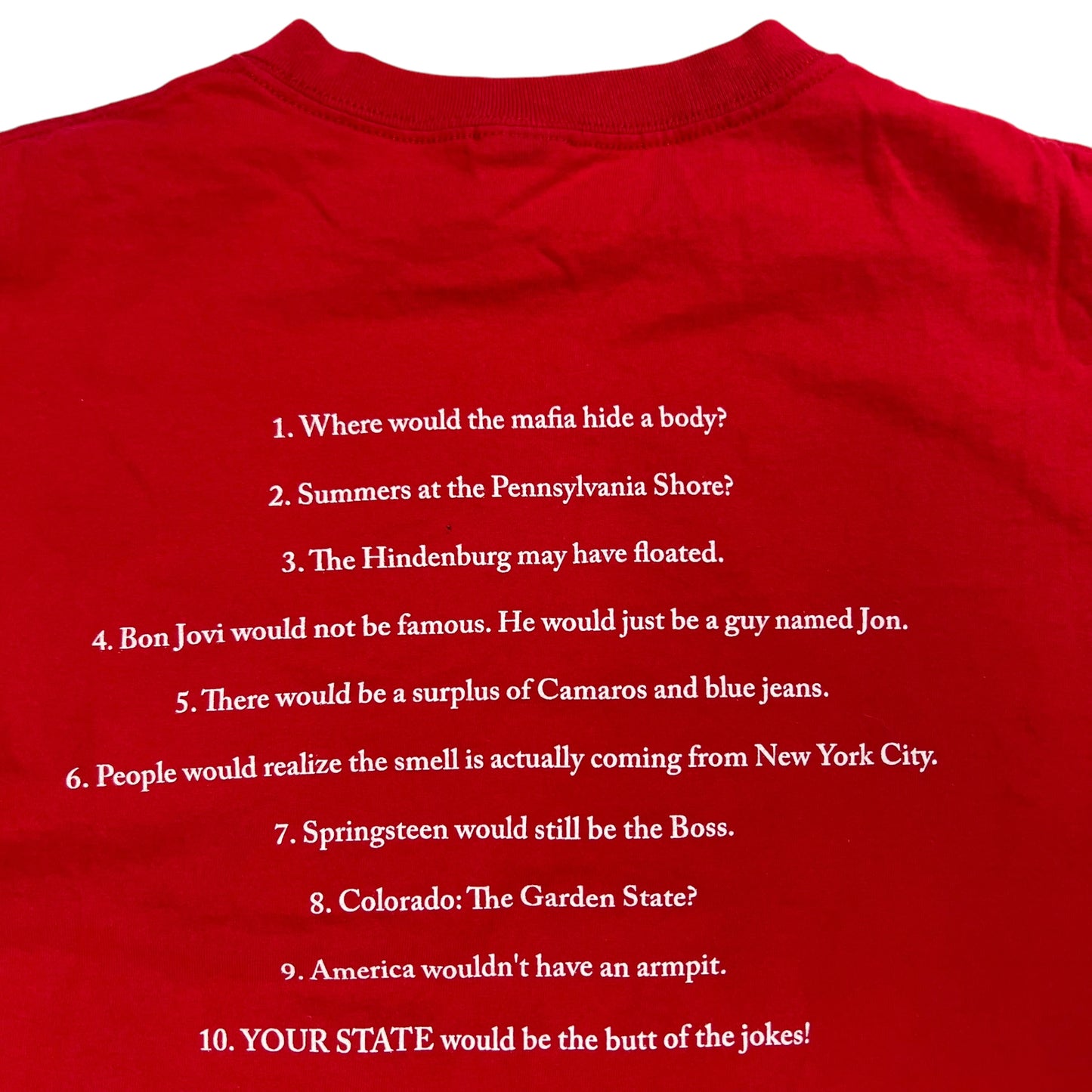 Vintage Y2K “Without NJ…” Pro New Jersey tee (L)