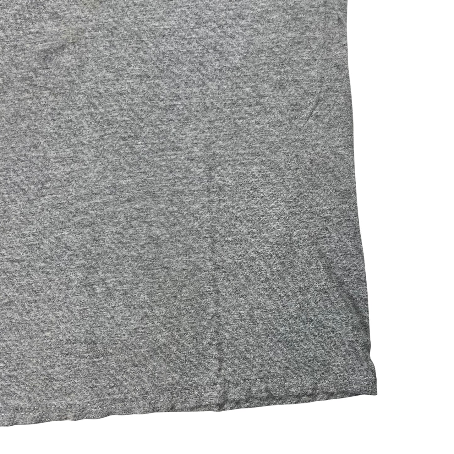 Vintage 90s Champion Brown University faded thin tee (L)