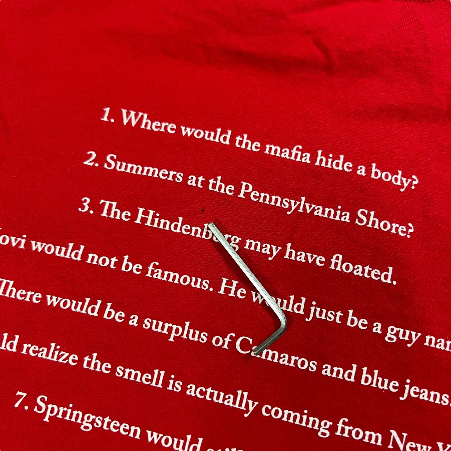 Vintage Y2K “Without NJ…” Pro New Jersey tee (L)