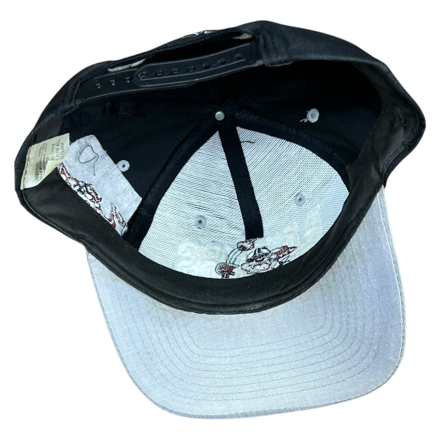 Vintage 1993 Oakland Raiders Looney Tunes Taz Tasmanian Devil SnapBack