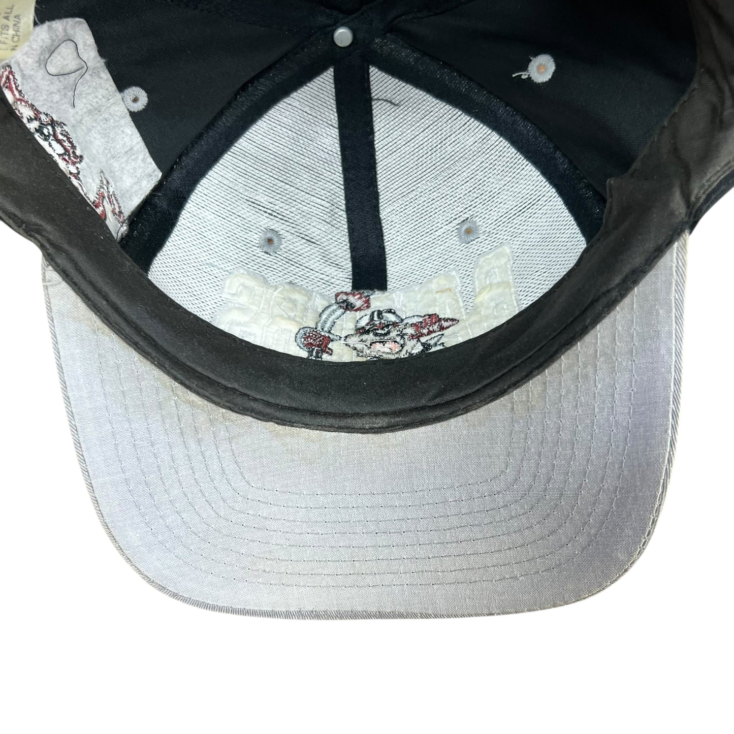 Vintage 1993 Oakland Raiders Looney Tunes Taz Tasmanian Devil SnapBack