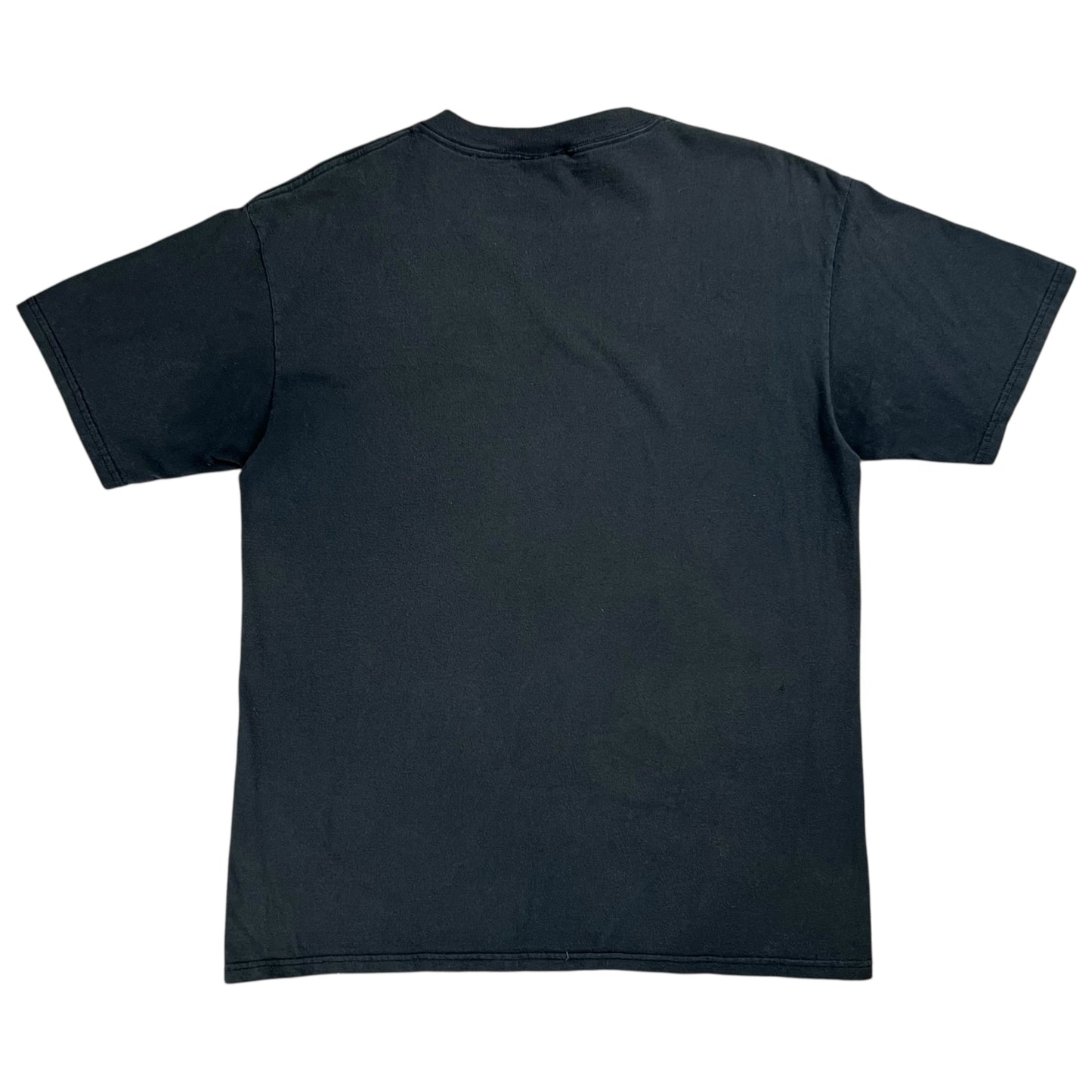 Vintage 1995 Nutmeg Pittsburgh Pirates old logo tee (L)