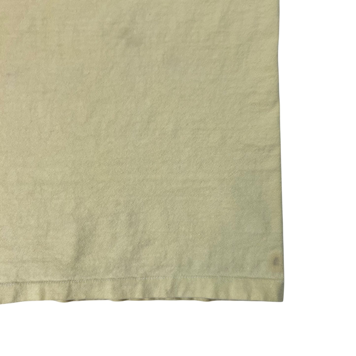 Vintage 1970s Hanes Ballet West in Aspen Snowmass tee (M)