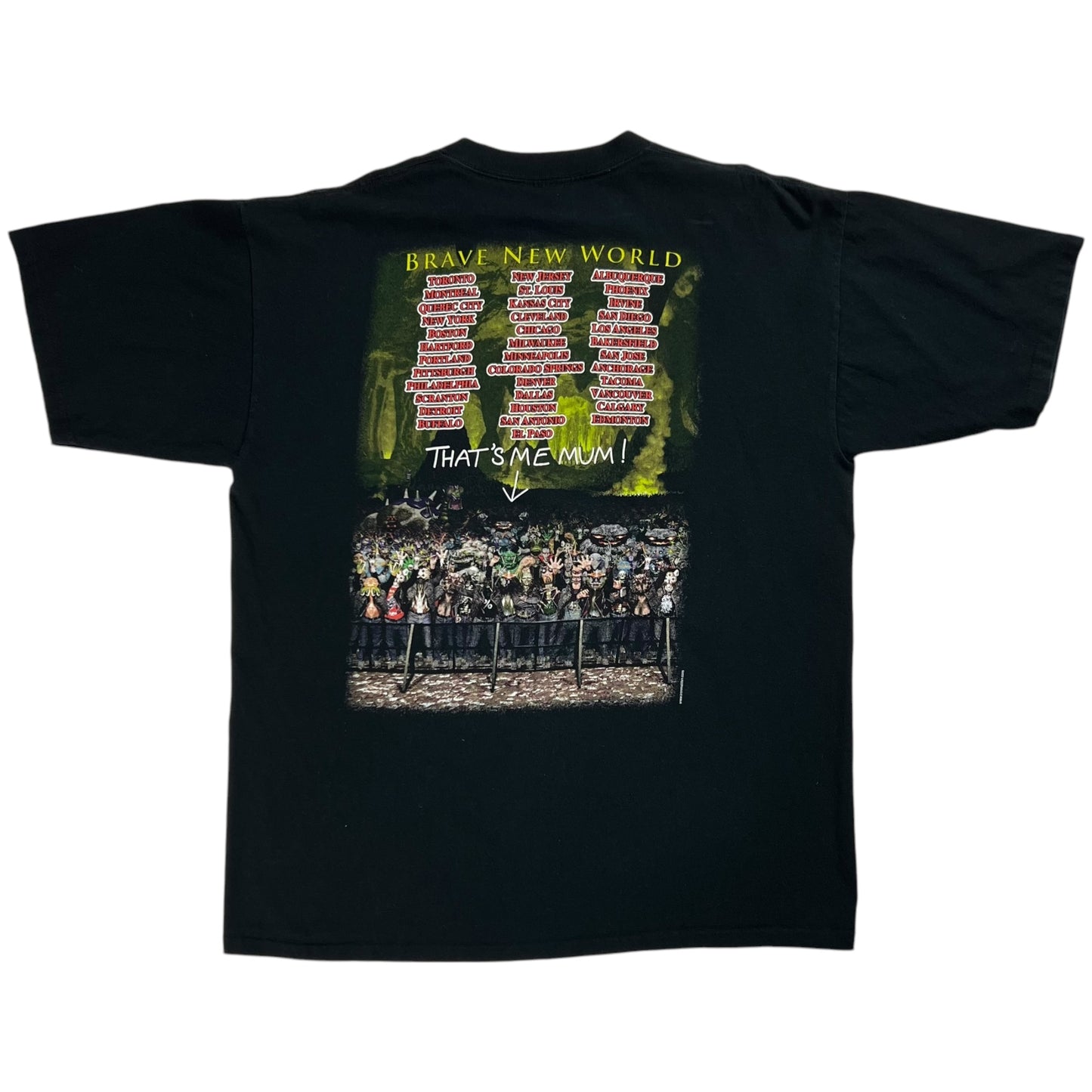 Vintage 2000 Iron Maiden Brave New World tour band tee (XL)
