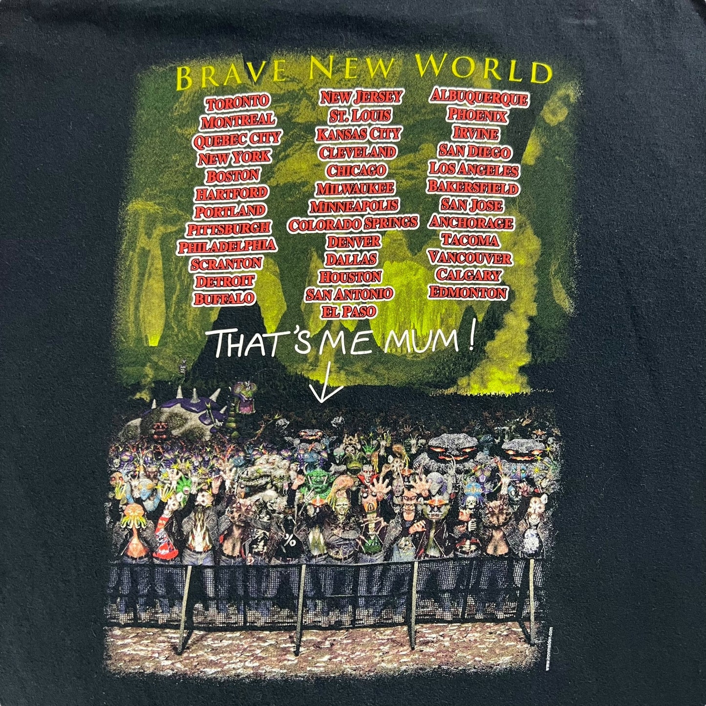 Vintage 2000 Iron Maiden Brave New World tour band tee (XL)