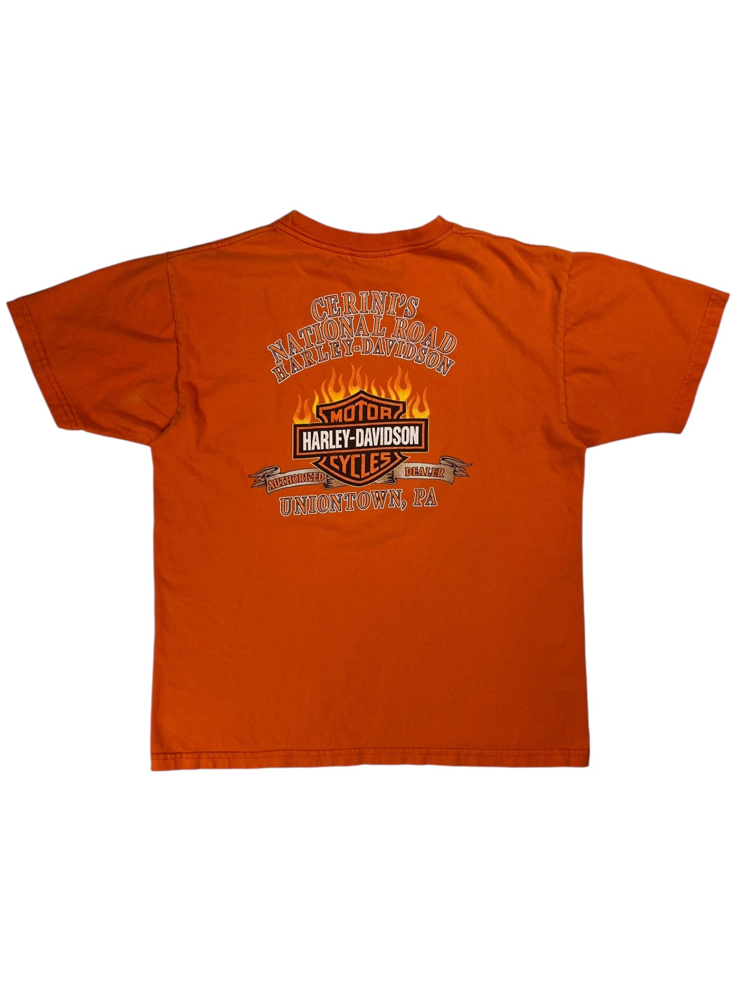 Vintage Y2K Harley Davidson Motorcycles faded tee (L)