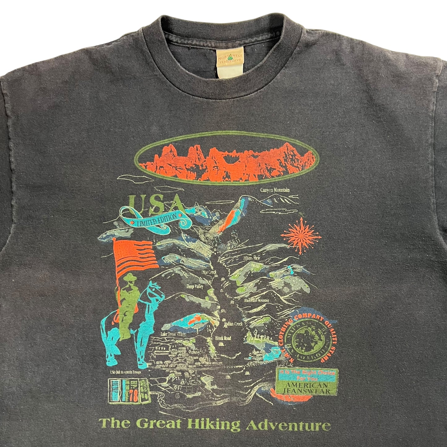 Vintage 90s The Great Hiking Adventure tee (L)