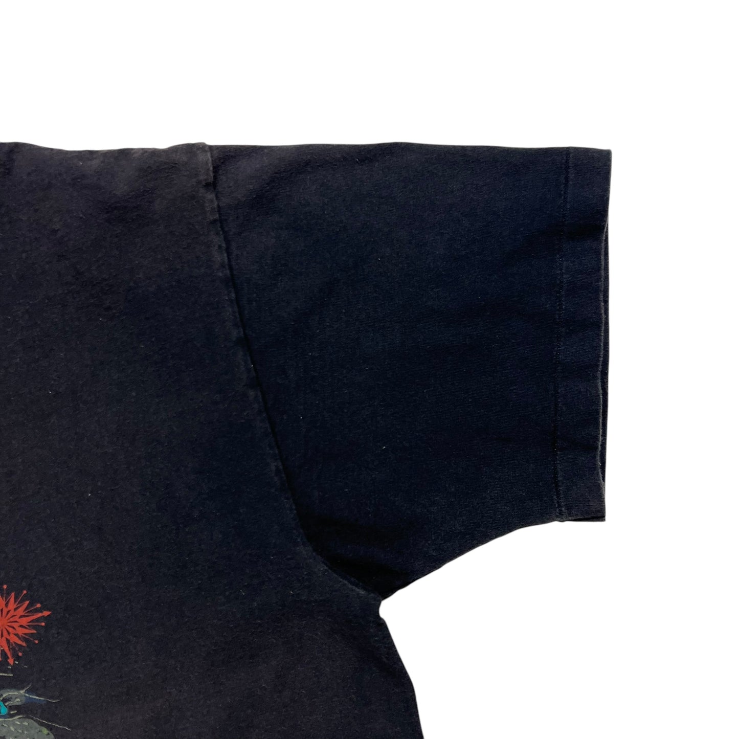 Vintage 90s The Great Hiking Adventure tee (L)