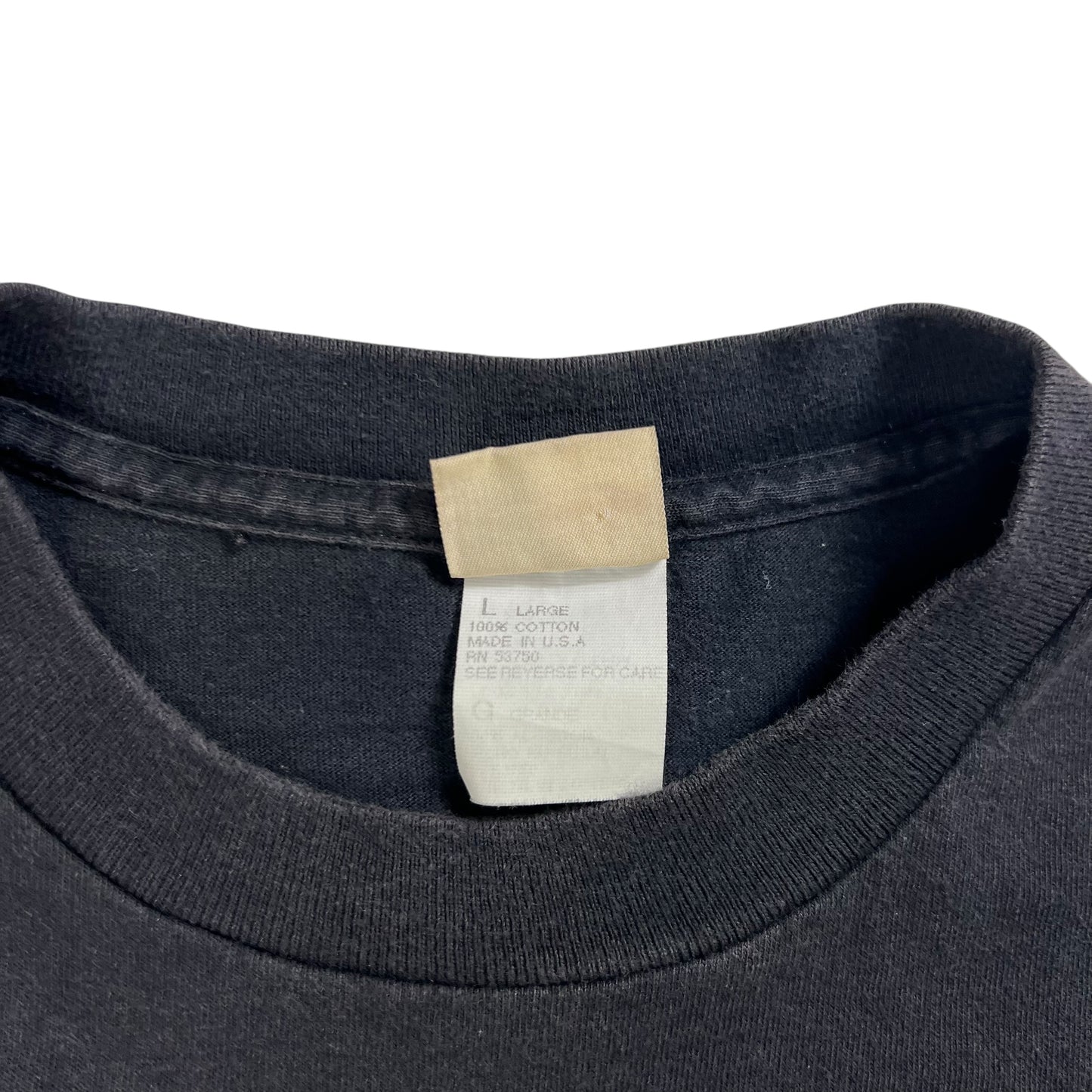 Vintage 90s The Great Hiking Adventure tee (L)