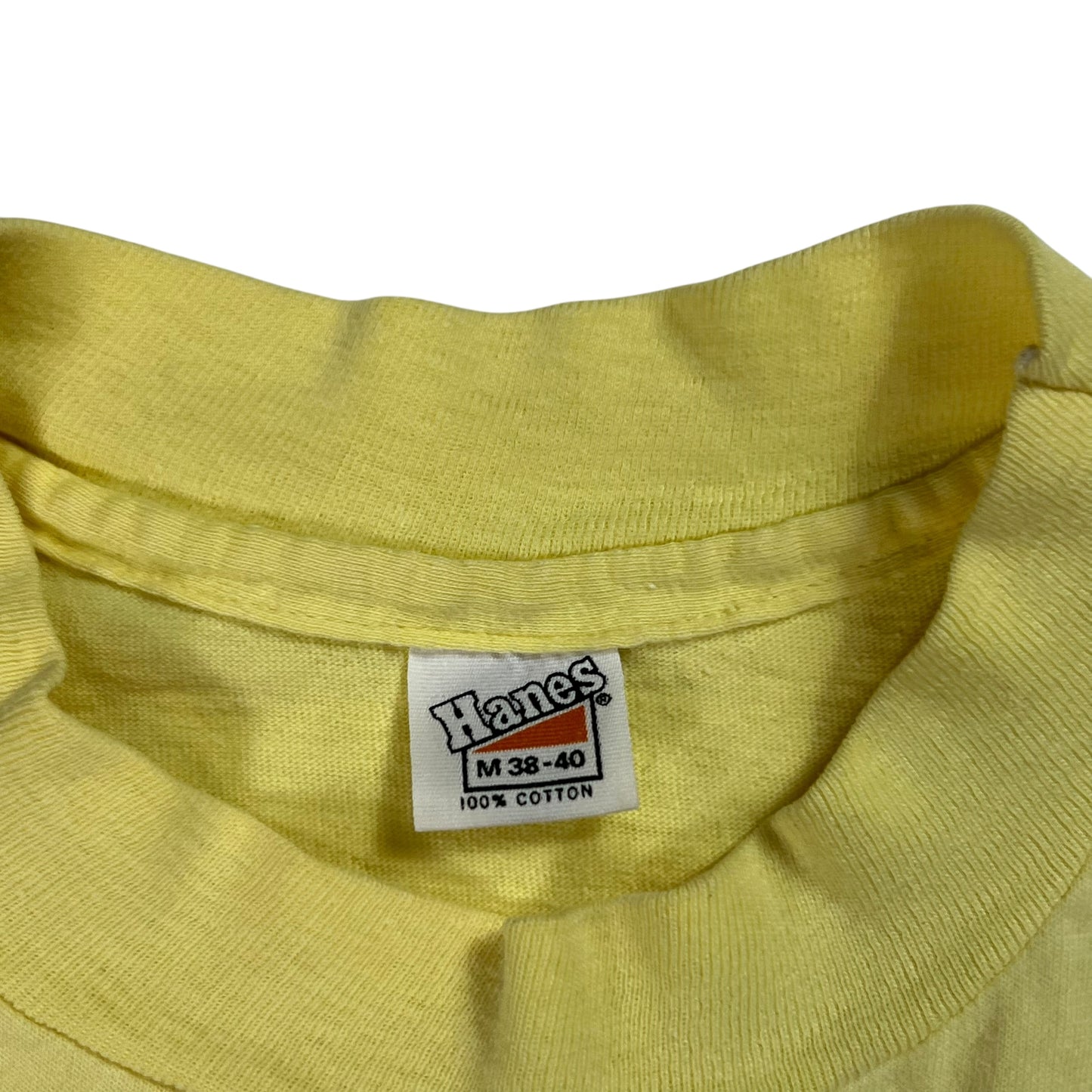 Vintage 1970s Hanes Ballet West in Aspen Snowmass tee (M)
