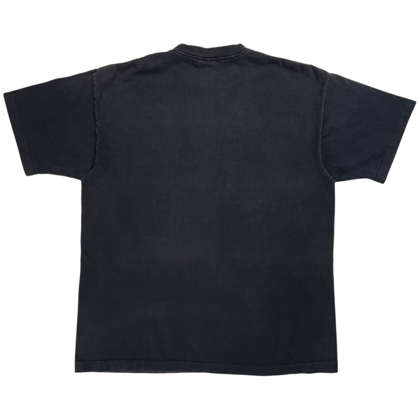 Vintage 90s The Great Hiking Adventure tee (L)