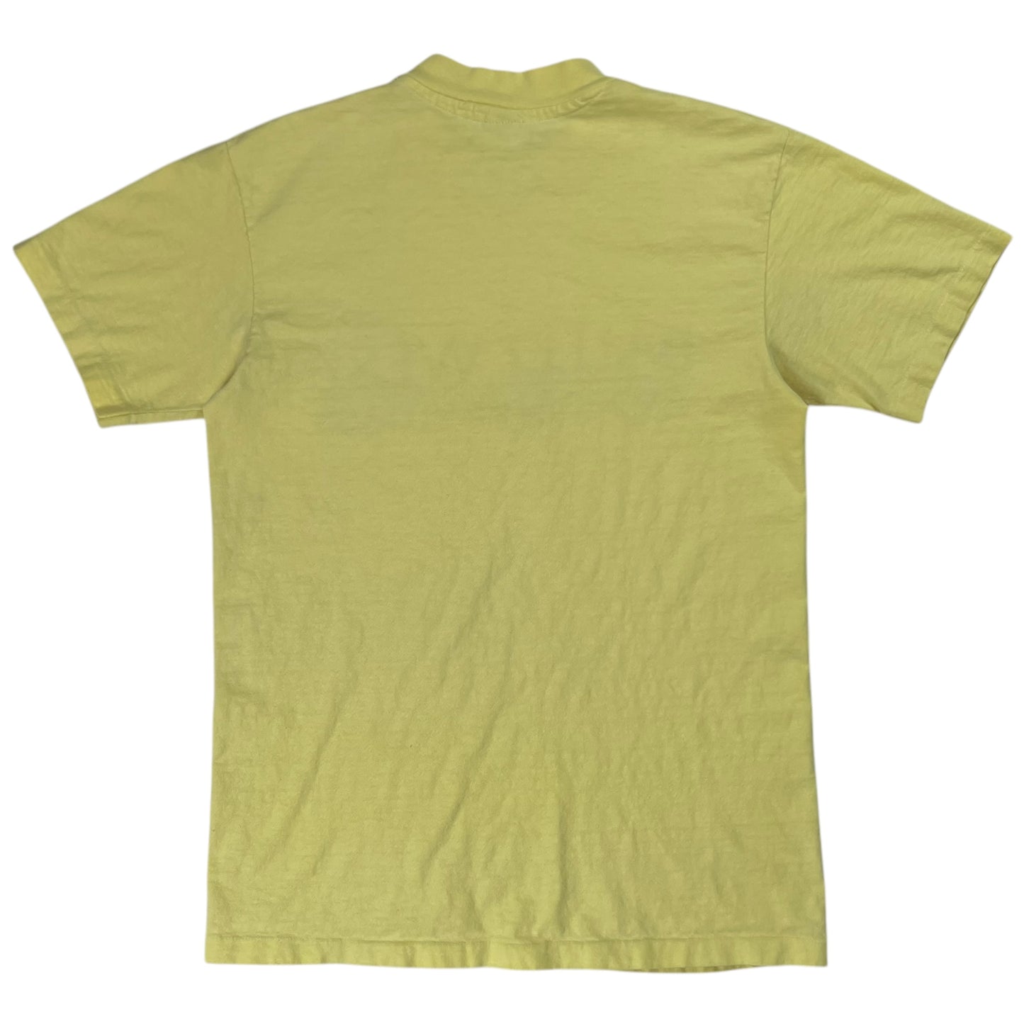 Vintage 1970s Hanes Ballet West in Aspen Snowmass tee (M)