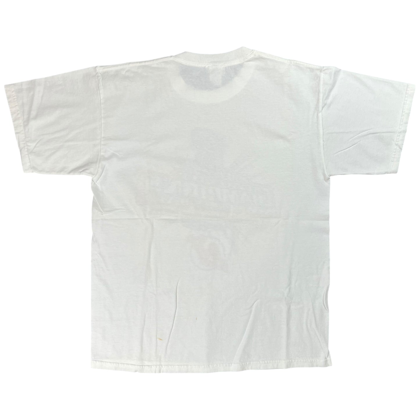 Vintage 2003 New Jersey Devils Stanley Cup champions tee (L)