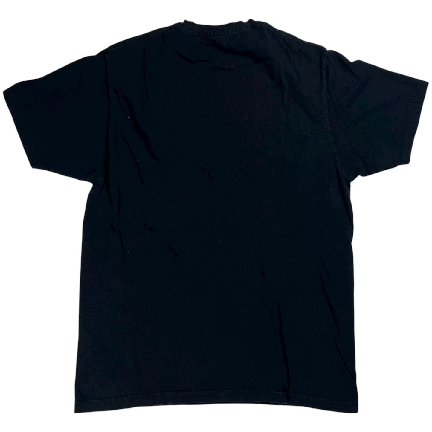 Vintage Y2K My Chemical Romance The Black Parade band tee (S)