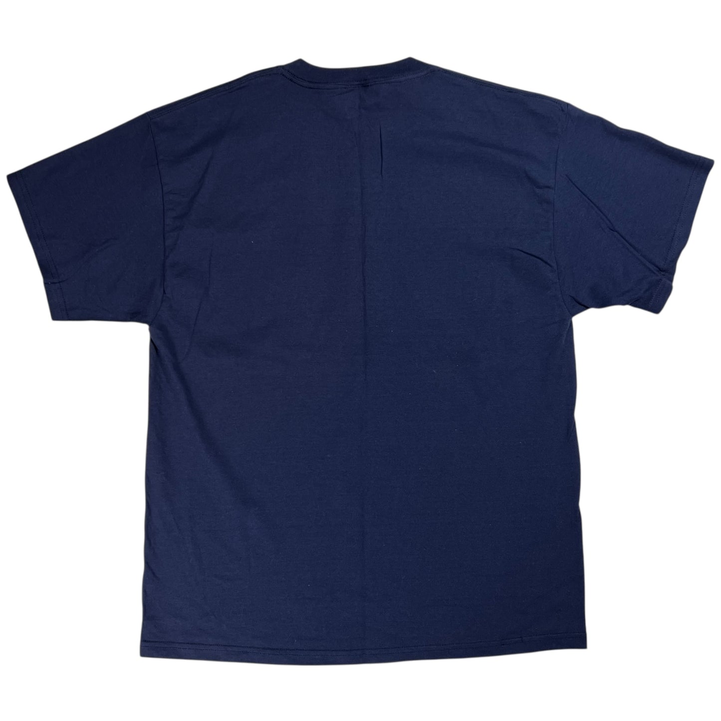 Vintage Y2K University of Pittsburgh Pitt Panthers tee (L) DS NWT