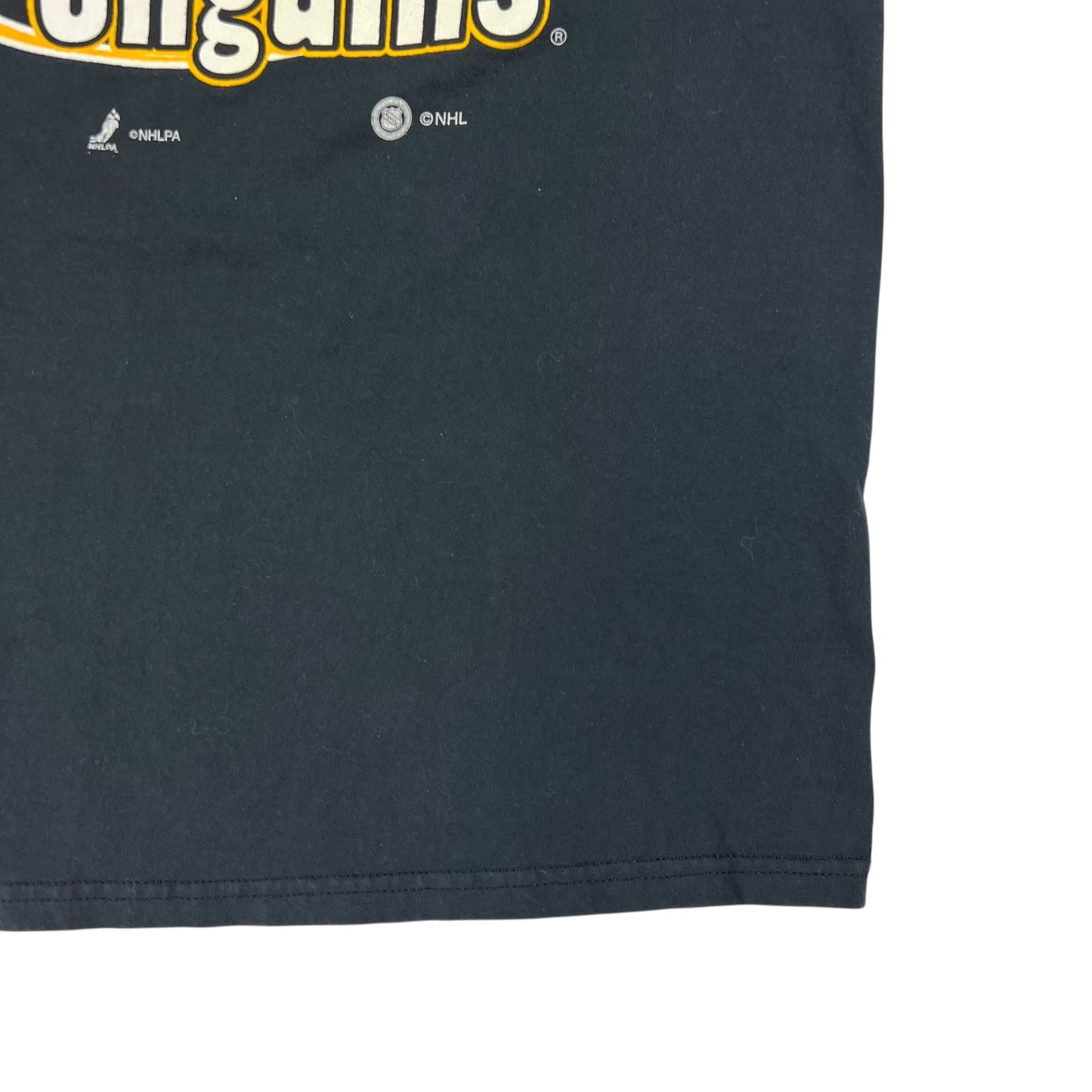 Vintage 90s Pittsburgh Penguins Mario Lemieux tee (L)