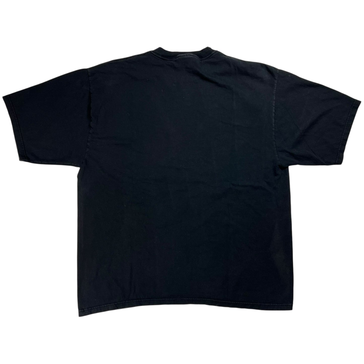Vintage 90s “I don’t suffer from insanity, I enjoy every minute of it.” text tee (XL)