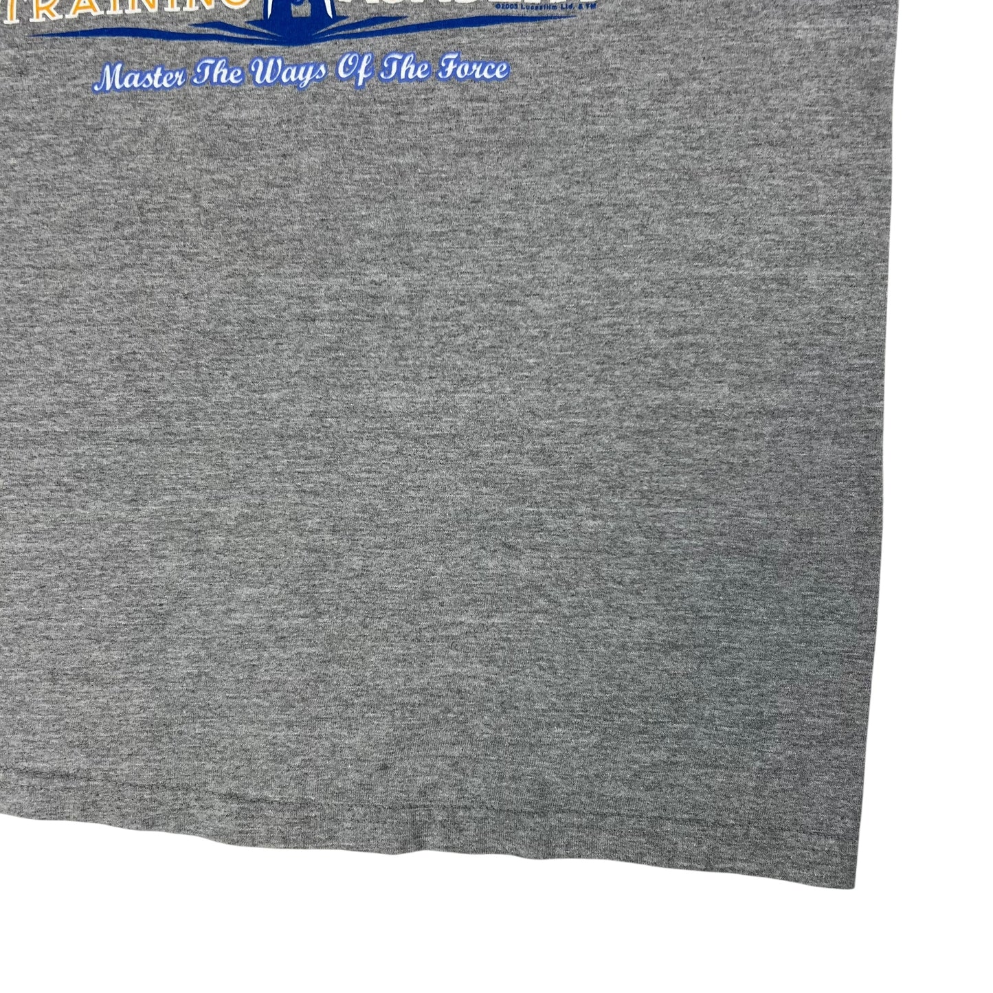 Vintage 2003 Disney Jedi Training Academy Star Wars tee (L)
