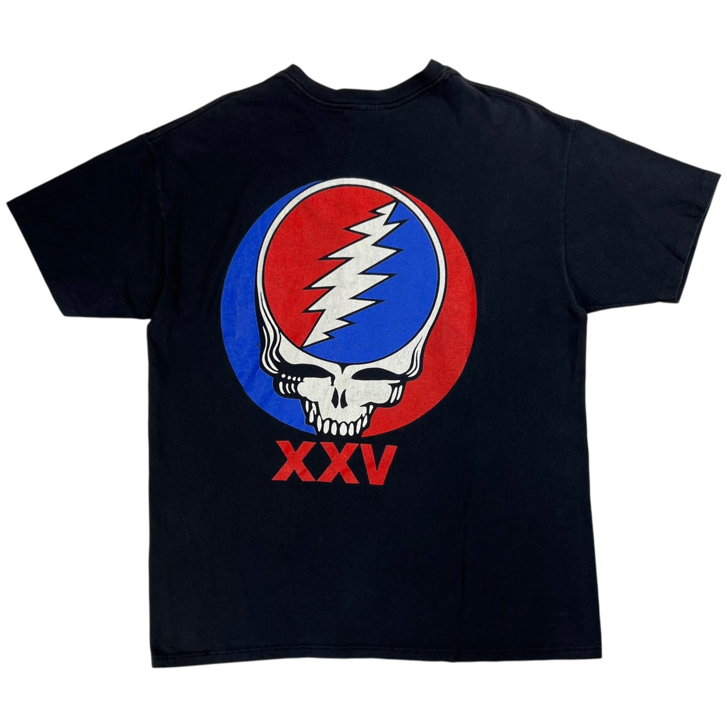 Vintage 1990 Brockum Grateful Dead American Beauty band tee (L)