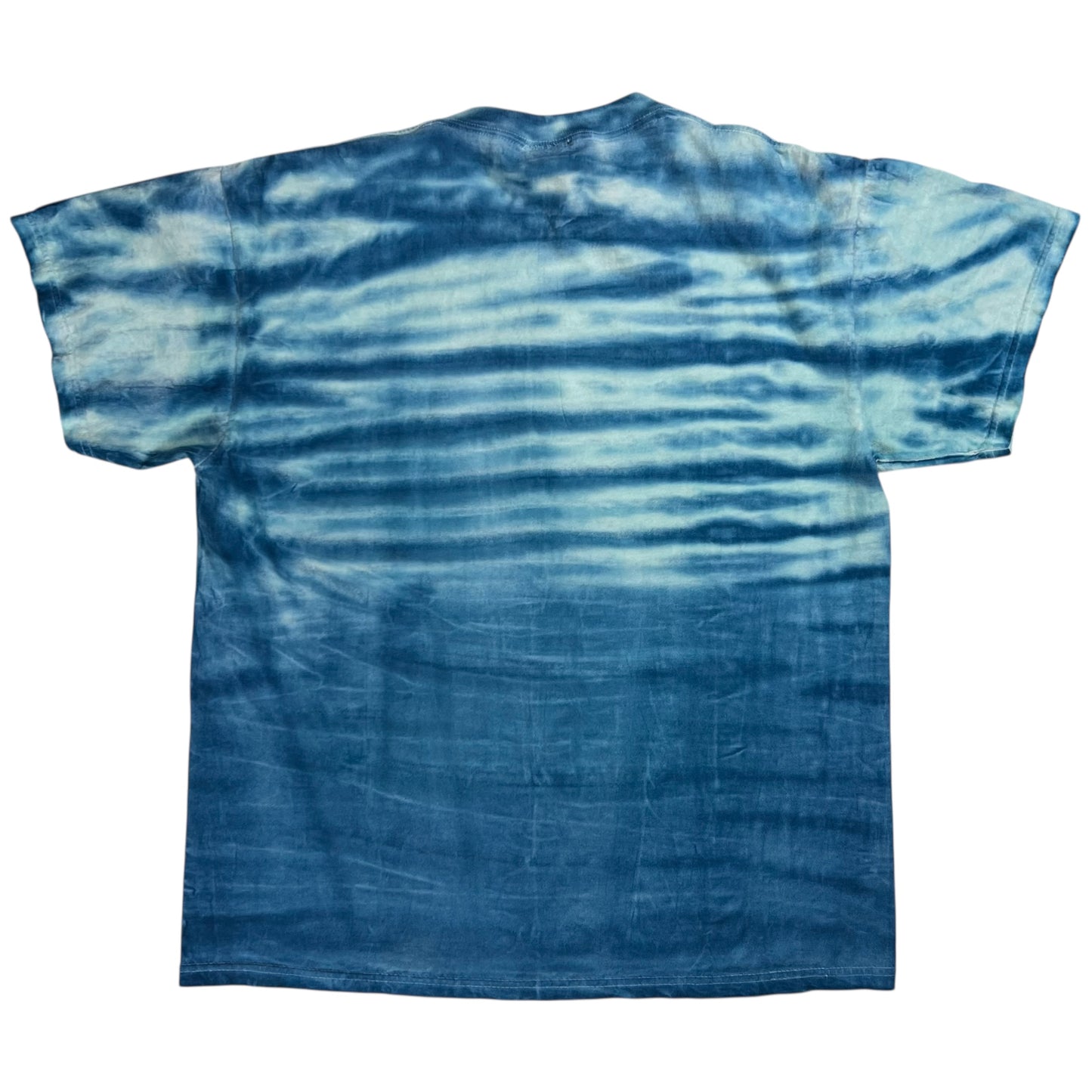Vintage 90s Looney Tunes Sylvester Tweety Bird tie dye tee (L)