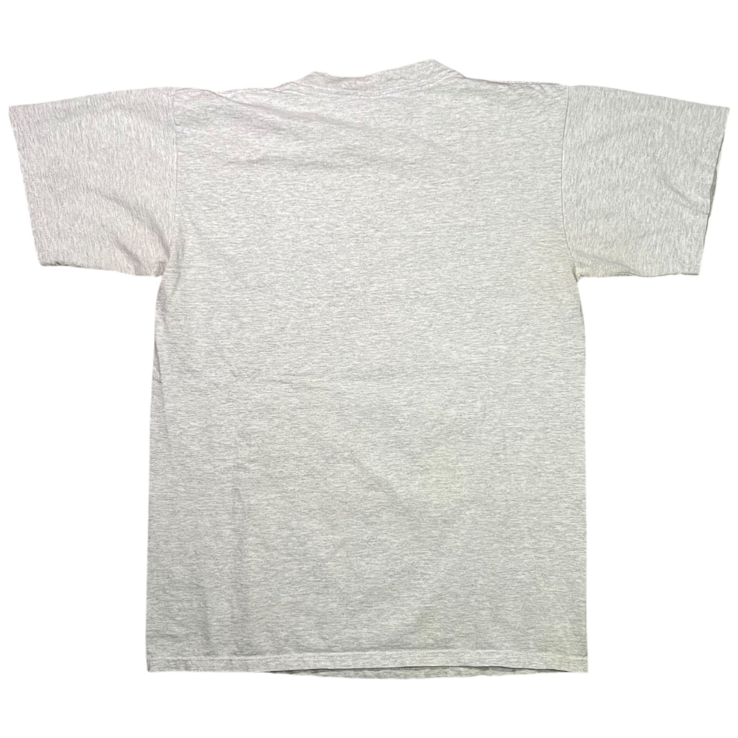 Vintage 90s Nutmeg Mills Charlotte Hornets mascot tee (M)