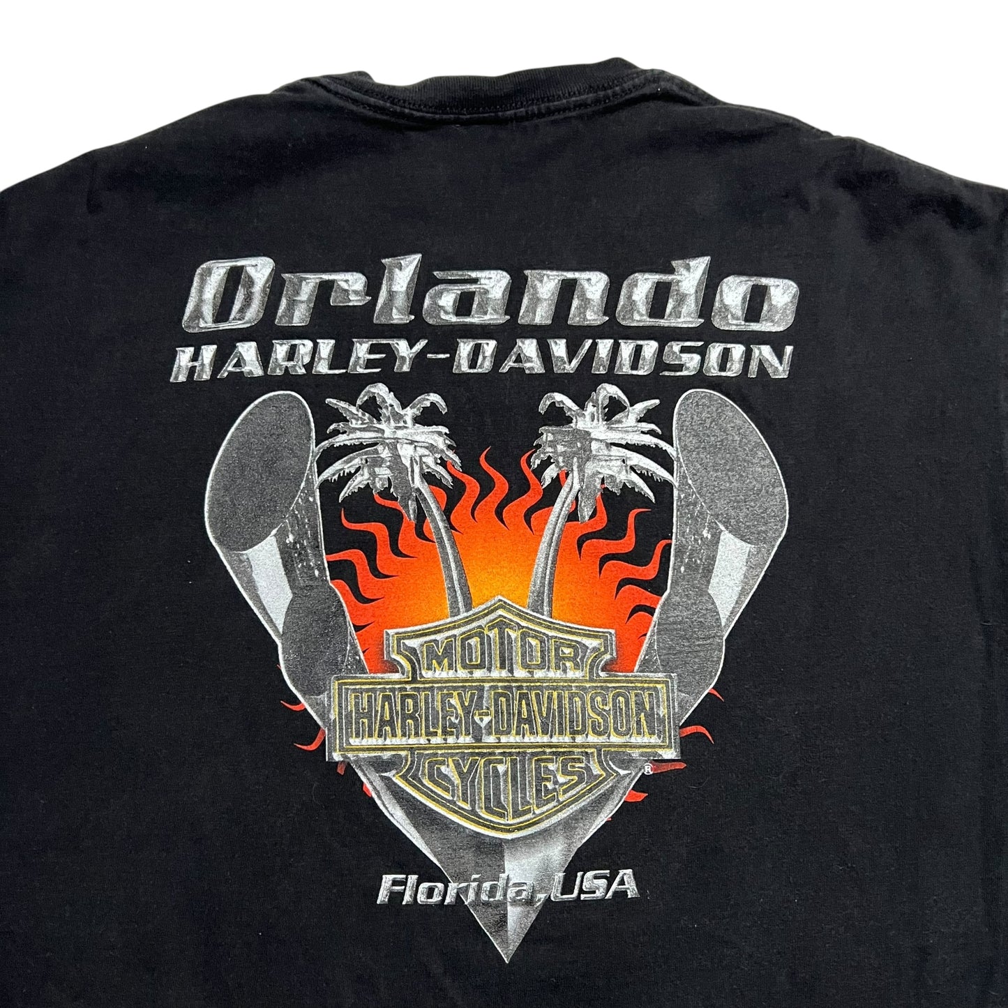 Vintage 2005 Harley Davidson Flame Eagle biker tee (L)