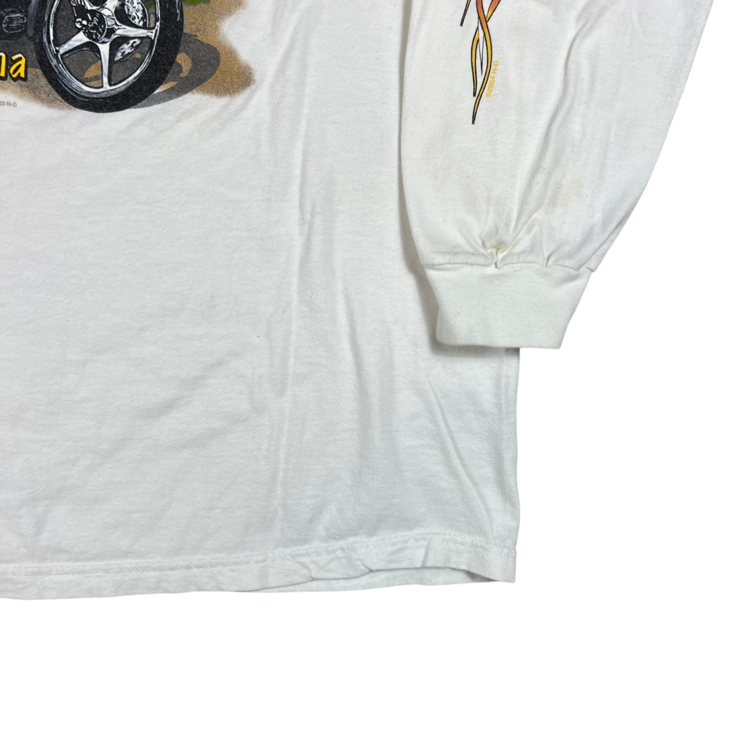 Vintage 2004 Harley Davidson Nags Head long sleeve flames print shirt (L)