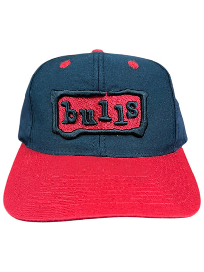 Vintage 90s Twins Chicago Bulls SnapBack