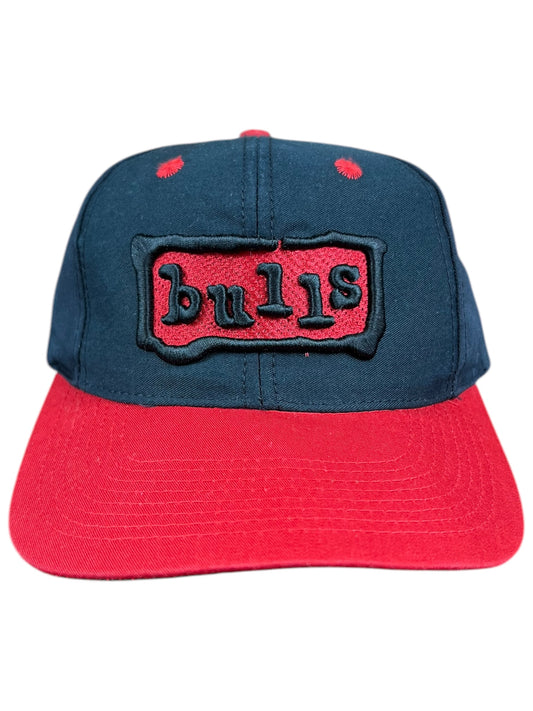 Vintage 90s Twins Chicago Bulls SnapBack