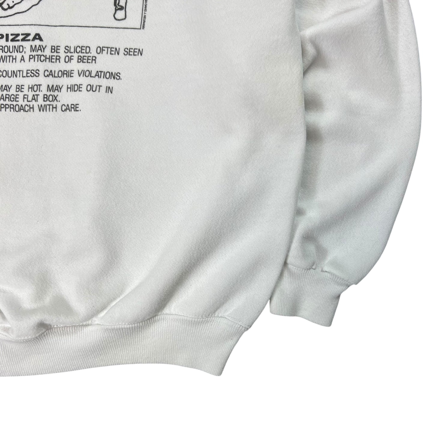 Vintage 1995 WANTED Pizza crewneck (L)