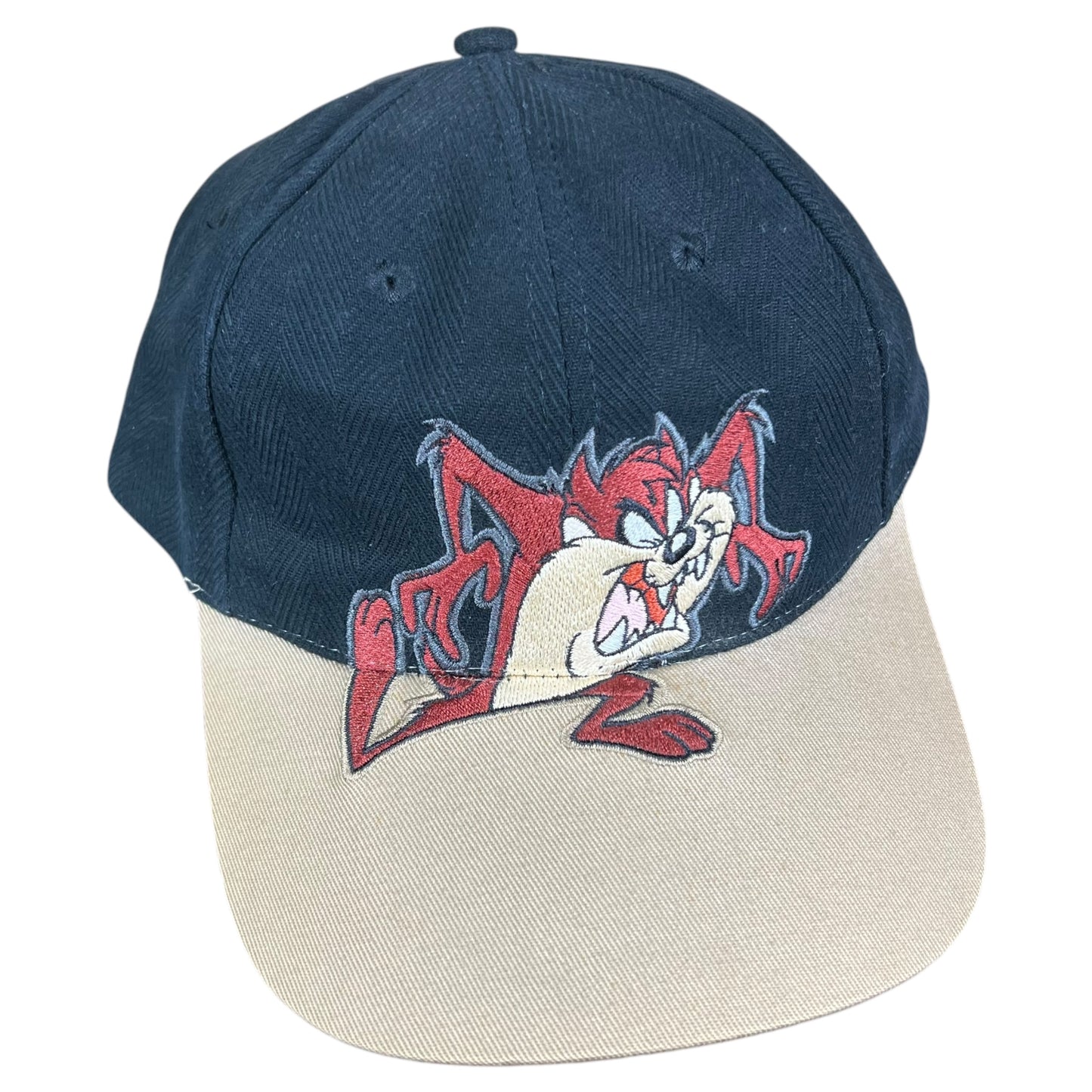 Vintage 1997 Looney Tunes Tasmanian Devils Taz SnapBack