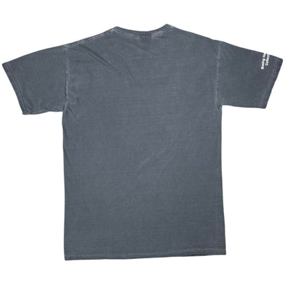 Vintage Y2K Boeing Heritage Collection faded tee (M)