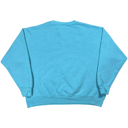 Vintage 90s Nike Swoosh ACG Air Jordan Aqua Gear faded crewneck (L)