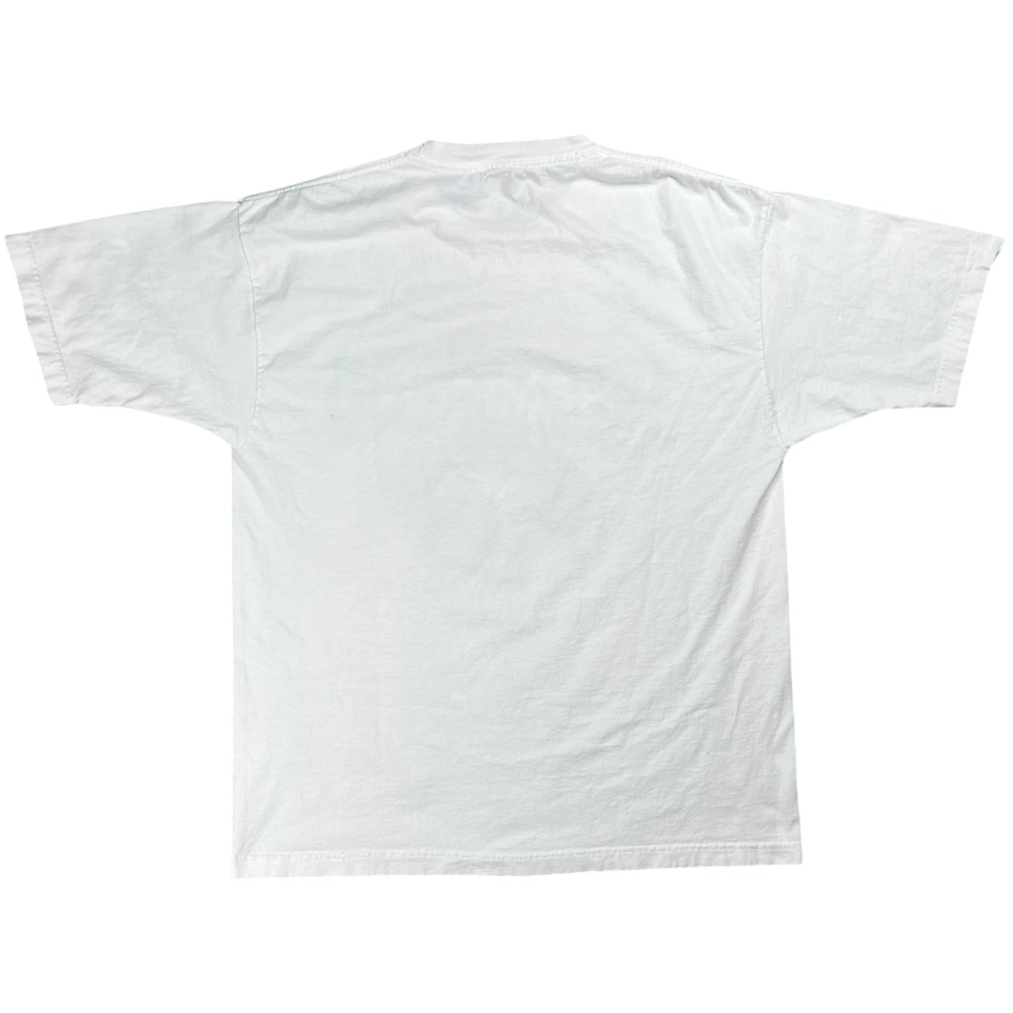 Vintage 2004 Philadelphia Eagles NFC Champions tee (L)