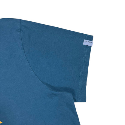 2015 Arc’Teryx geometric mountains graphic tee (XL)
