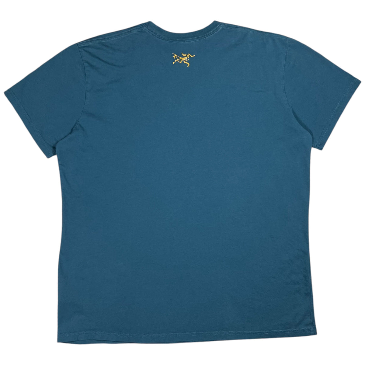 2015 Arc’Teryx geometric mountains graphic tee (XL)