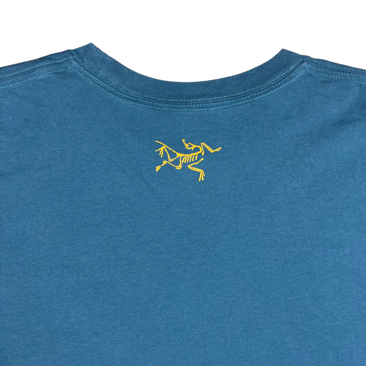 2015 Arc’Teryx geometric mountains graphic tee (XL)