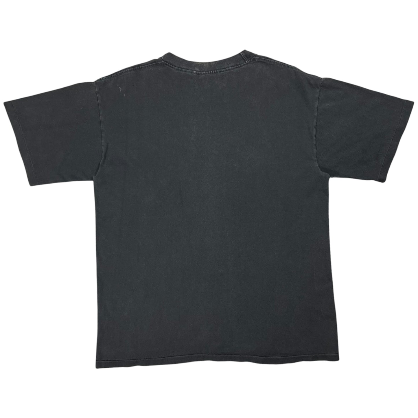 Vintage 90s Wild Oats Foo Fighters Dave Grohl faded band tee (L)