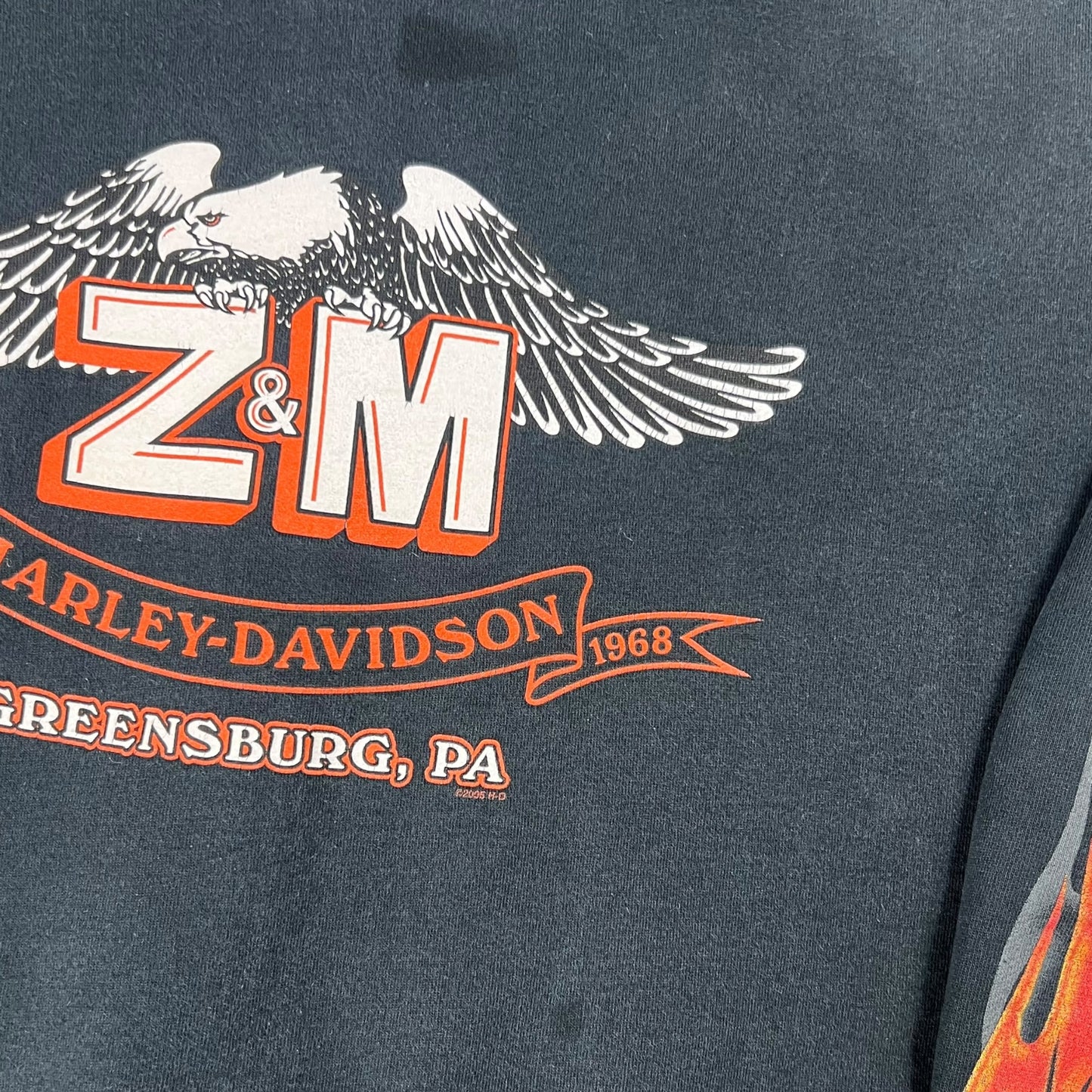 Vintage 2005 Harley Davidson Motorcycles flames sleeve print zip up hoodie (L)
