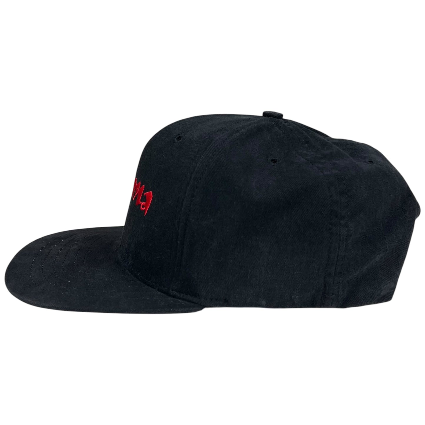 Vintage 90s Carlos Santana USA made band SnapBack