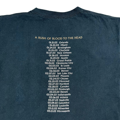 Vintage 2003 Coldplay A Rush Of Blood To The Head faded band tee (L)