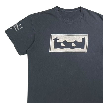 Vintage 2002 tool Los Angeles band tee (L)