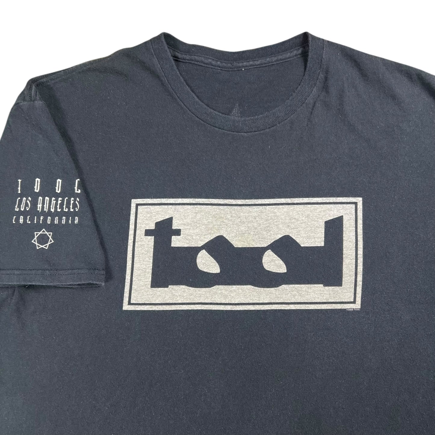 Vintage 2002 tool Los Angeles band tee (L)