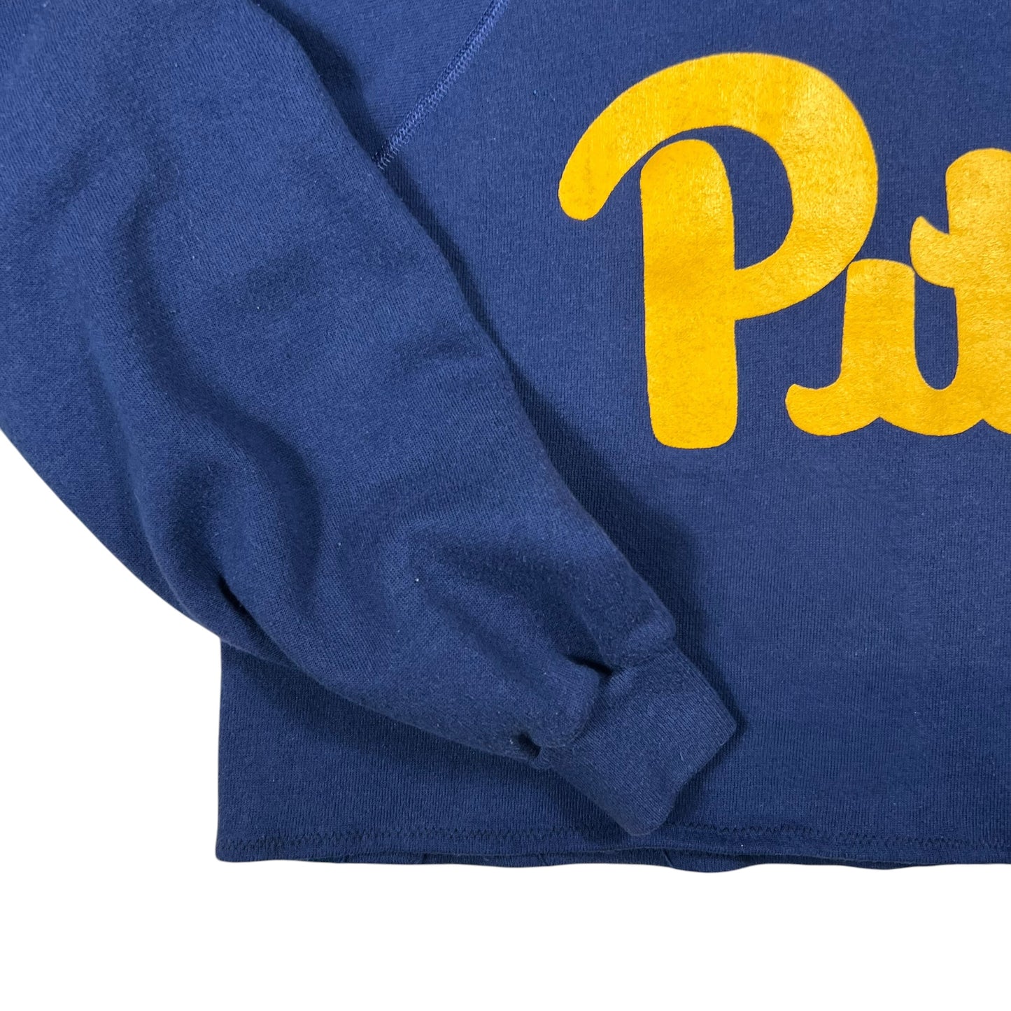 Vintage 80s Pitt Panthers University of Pittsburgh cropped hoodie (M/L)