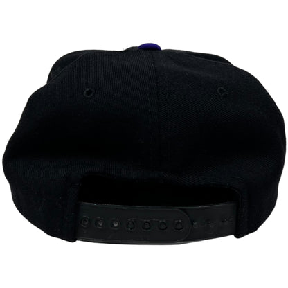 Vintage 90s Pearl Jam two tone wool black purple blend band SnapBack
