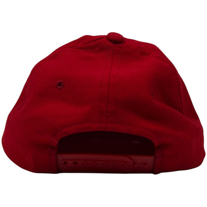 Vintage 90s Blink-182 wool blend band SnapBack