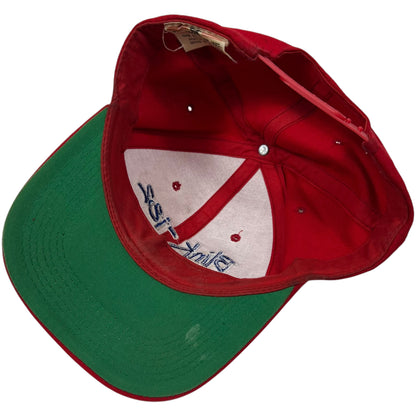 Vintage 90s Blink-182 wool blend band SnapBack