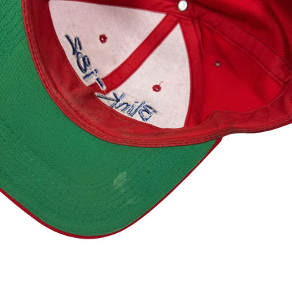 Vintage 90s Blink-182 wool blend band SnapBack