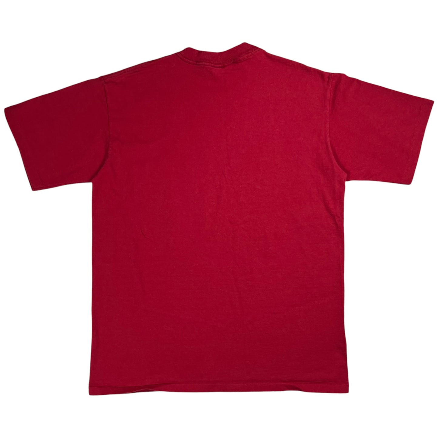 Vintage 1993 Nutmeg Washington Redskins NFL tee (L)